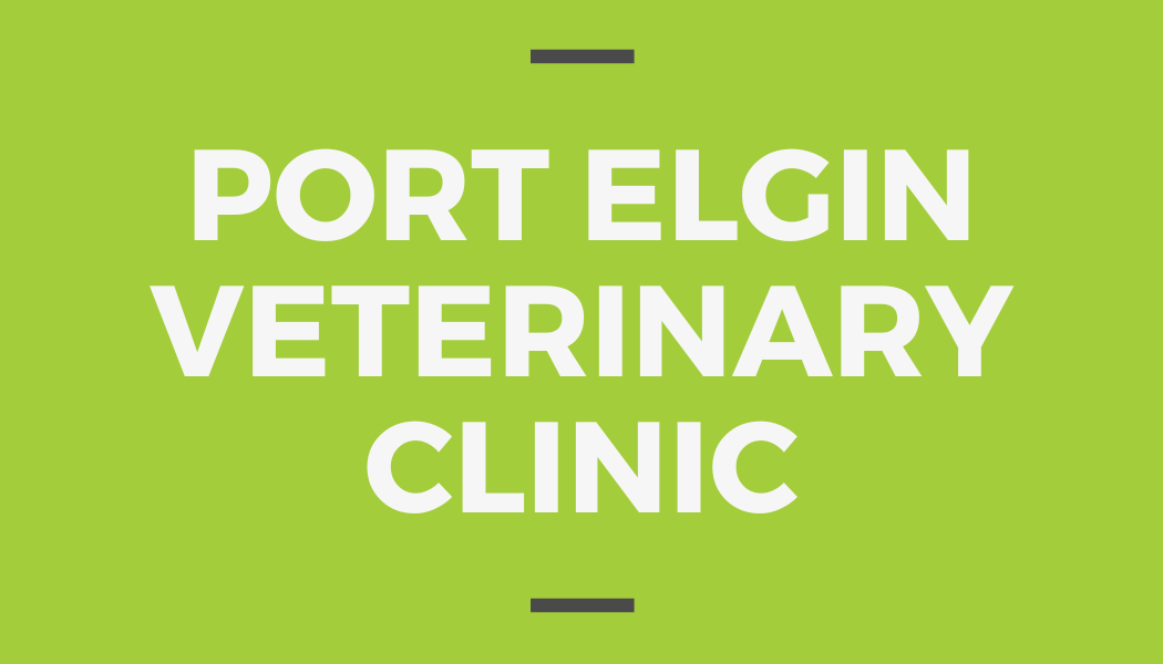 Port Elgin Veterinary Clinic